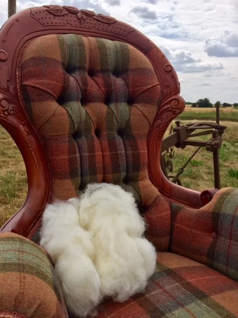 wool image 4.jpg