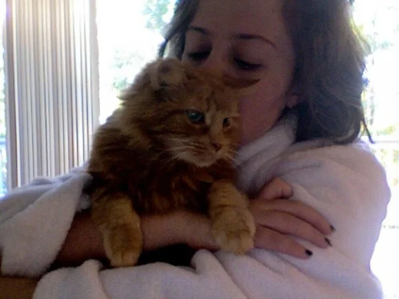 mishu2