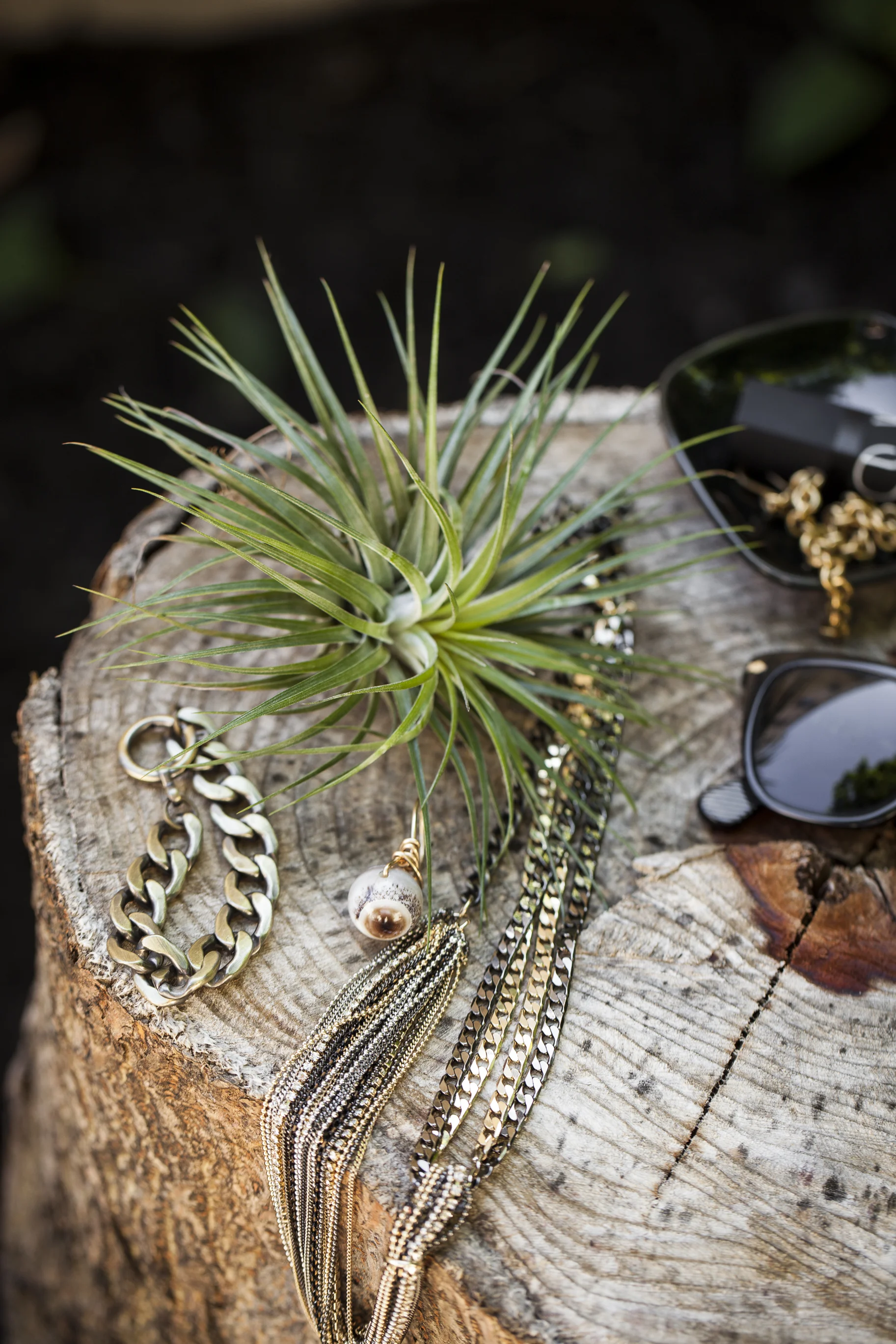 Barbara Campbell Handcrafted Accessories Made In Brooklyn In The USA