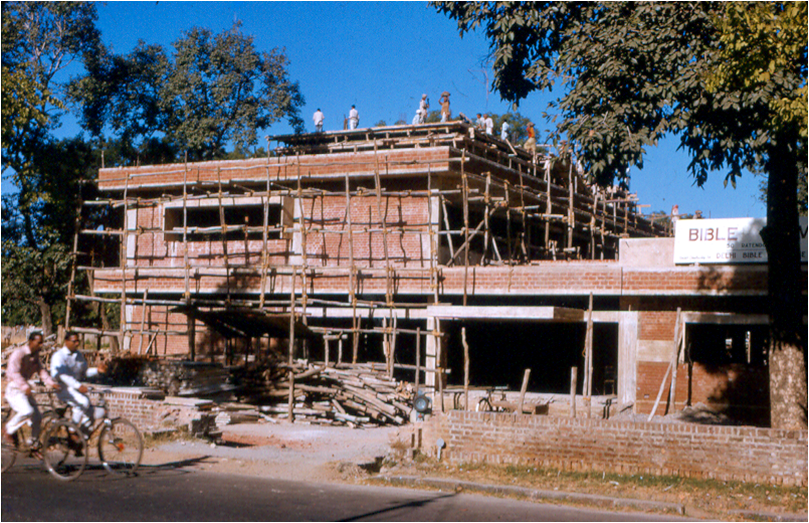 Early structure.png
