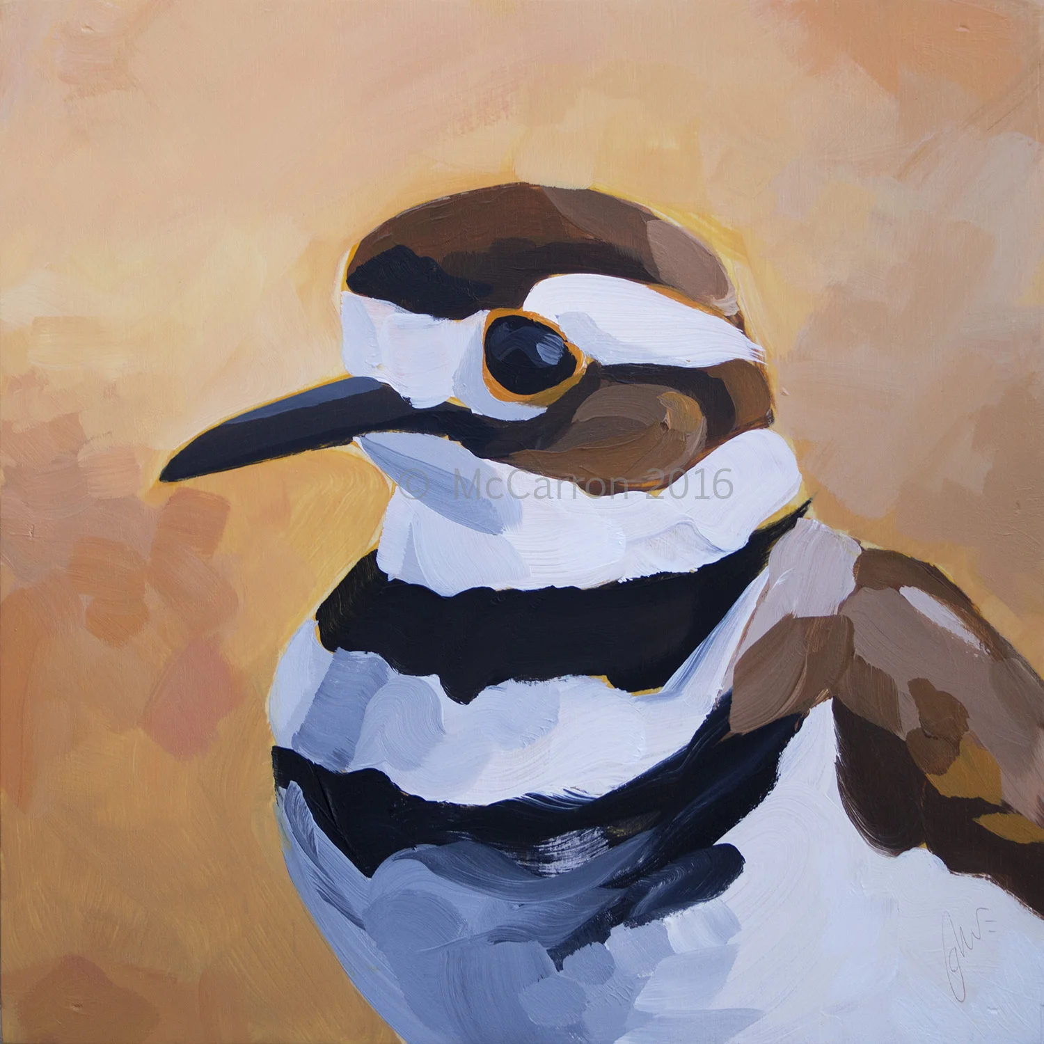 Killdeer