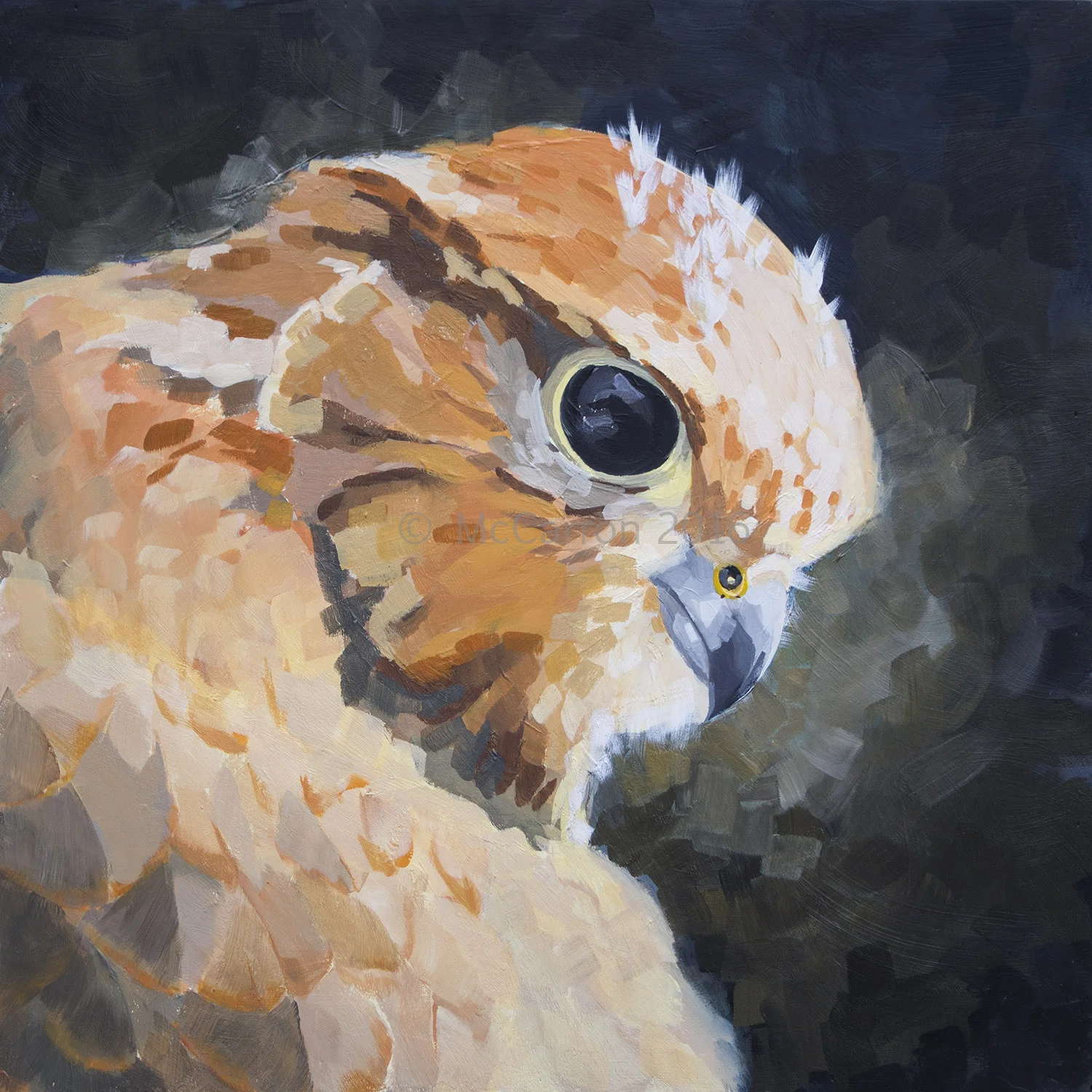 Merlin