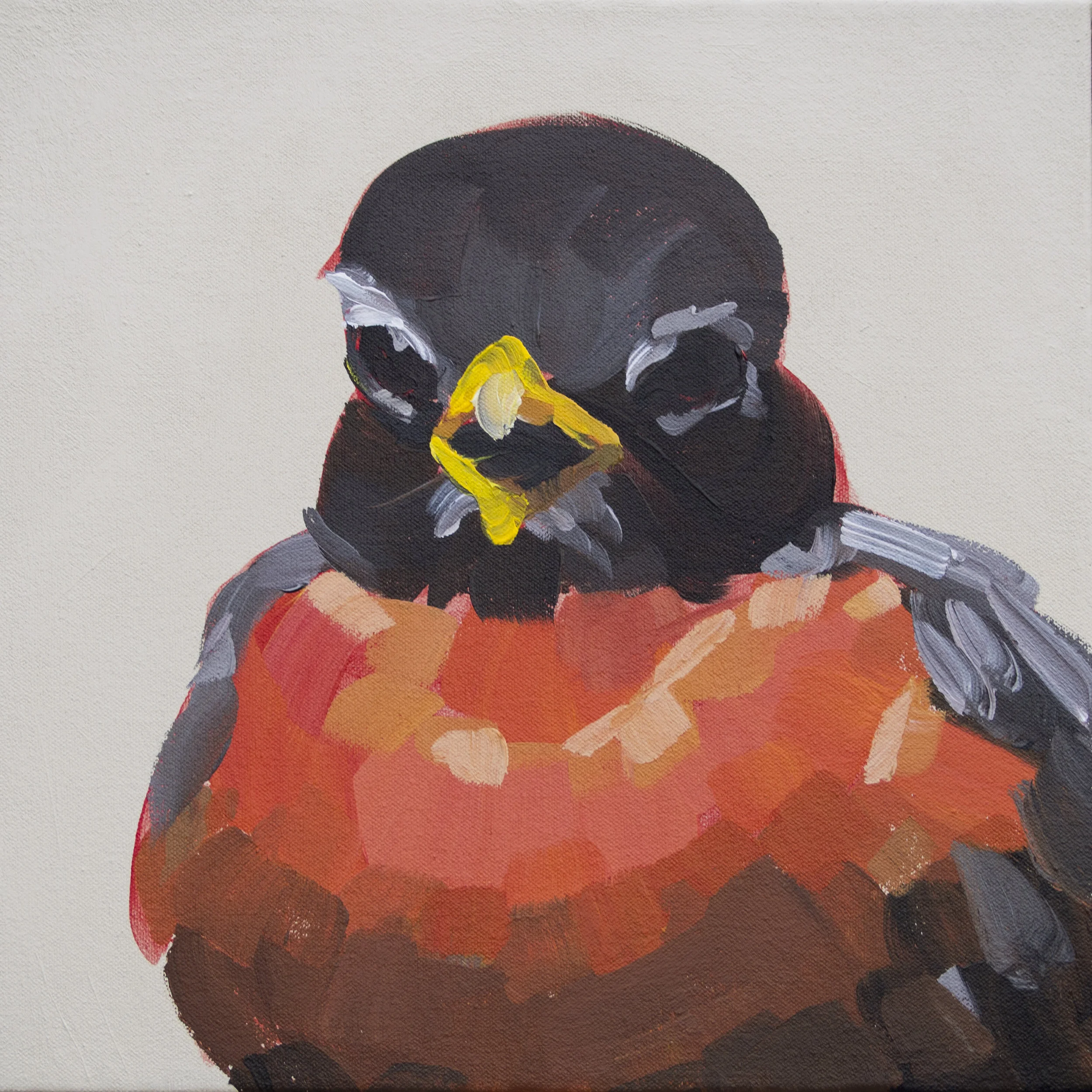Robin