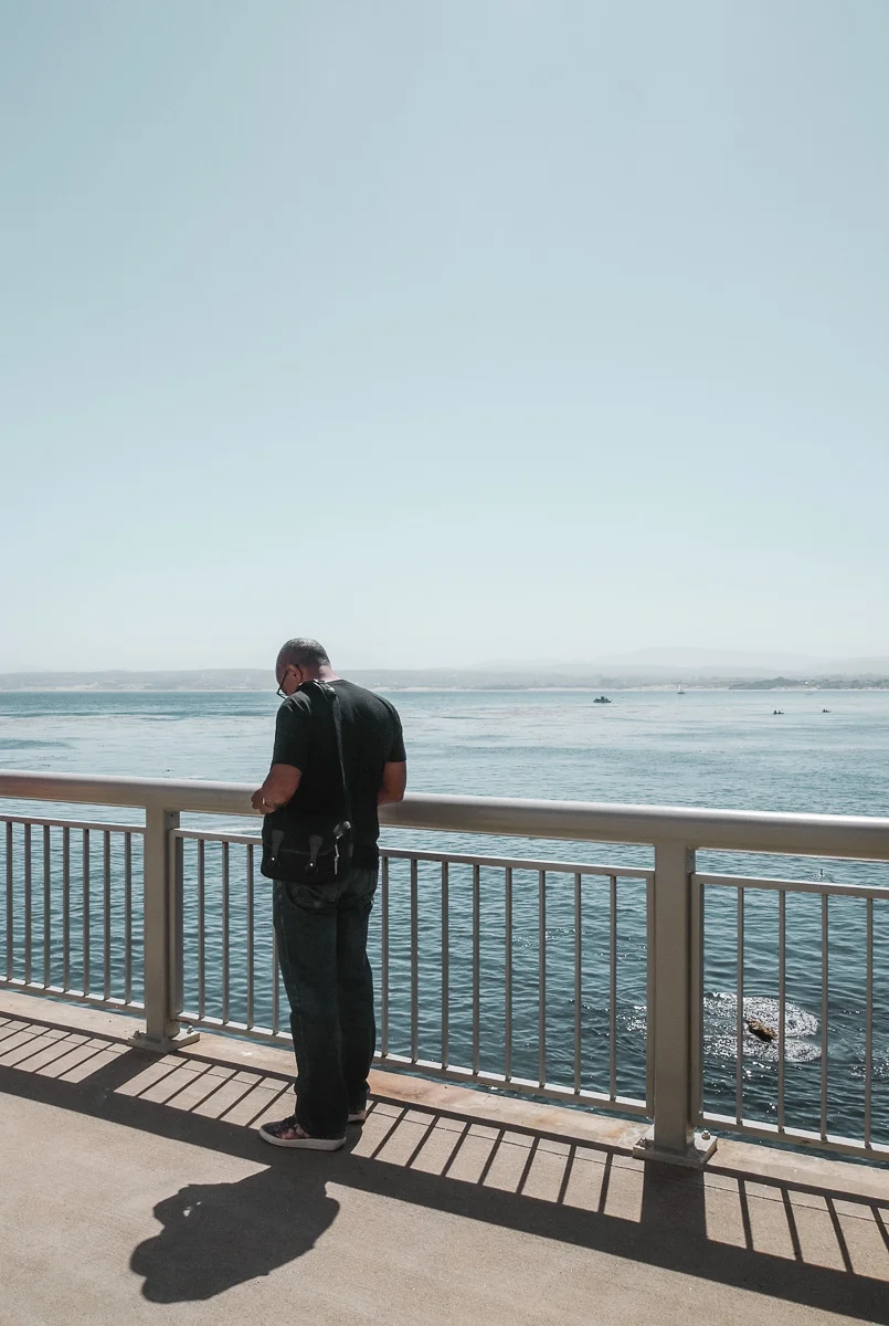 © Ellaroserocker 2017