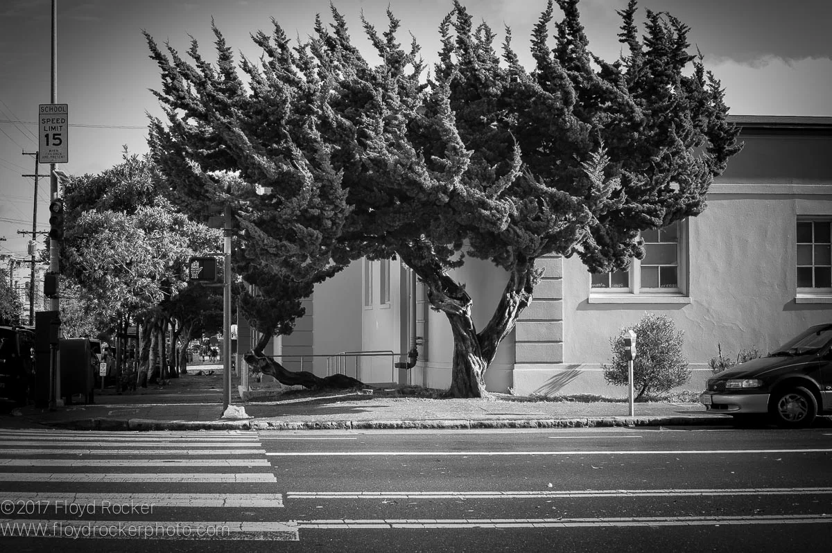 SF__Streets_12022012-19.jpg
