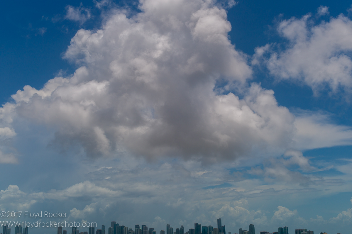Miami_June_2013-29.jpg