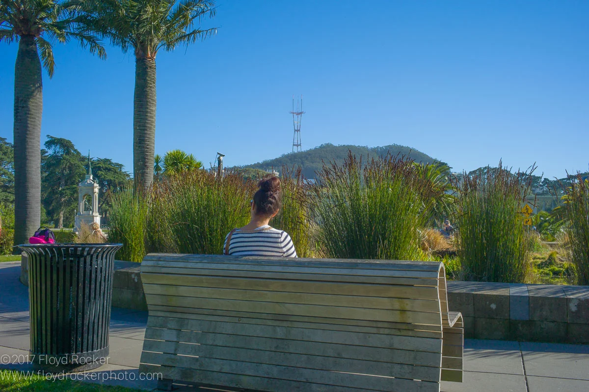 SF_California Academy of Sciences-13.jpg