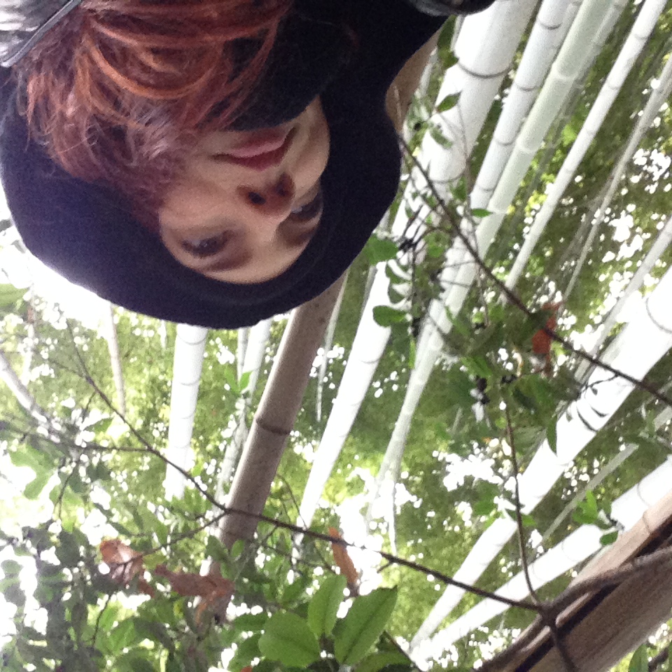 Japan (December 2014)