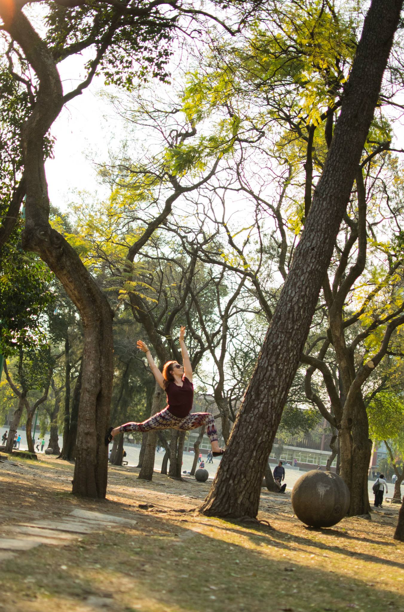 Tree Lunging