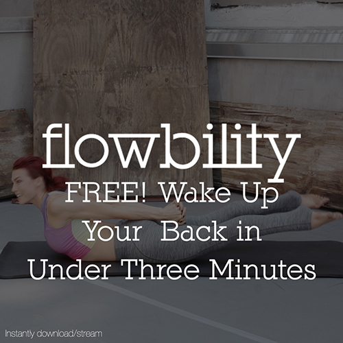 Flowbility Free Bonus: Wake Up Your Back in Under Three Minutes In this excerpt from a rooftop movement session, Marlo leads a quick sequence to wake up your back musculature. Try these moves to enliven your posture and prepare for deeper stretching. If you have more that three minutes, great! Extend this sequence by performing more repetitions of each exercise -- try each movement for 30 seconds to one minute for even more Flowbility benefits.