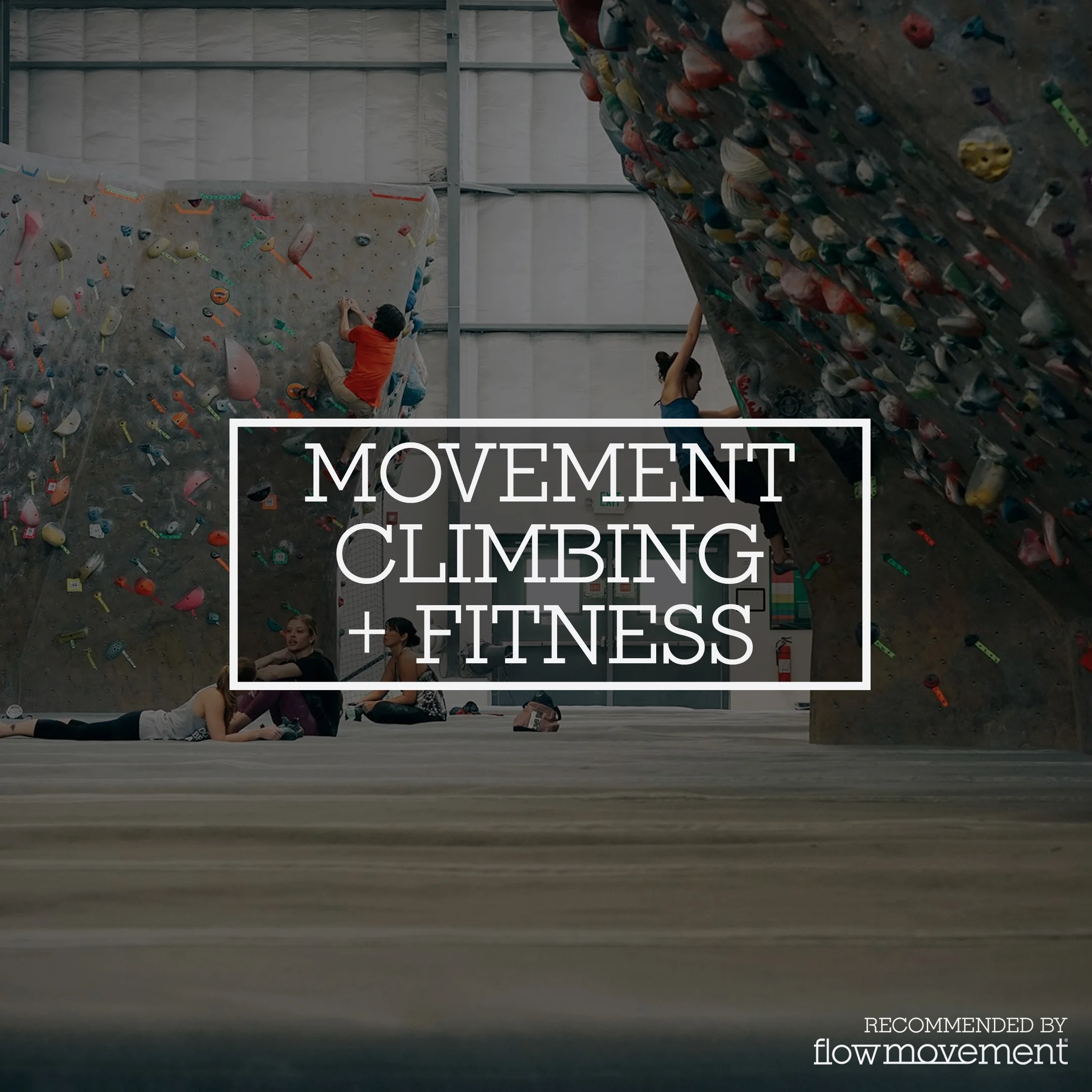 MOVEMENT CLIMBING + FITNESS