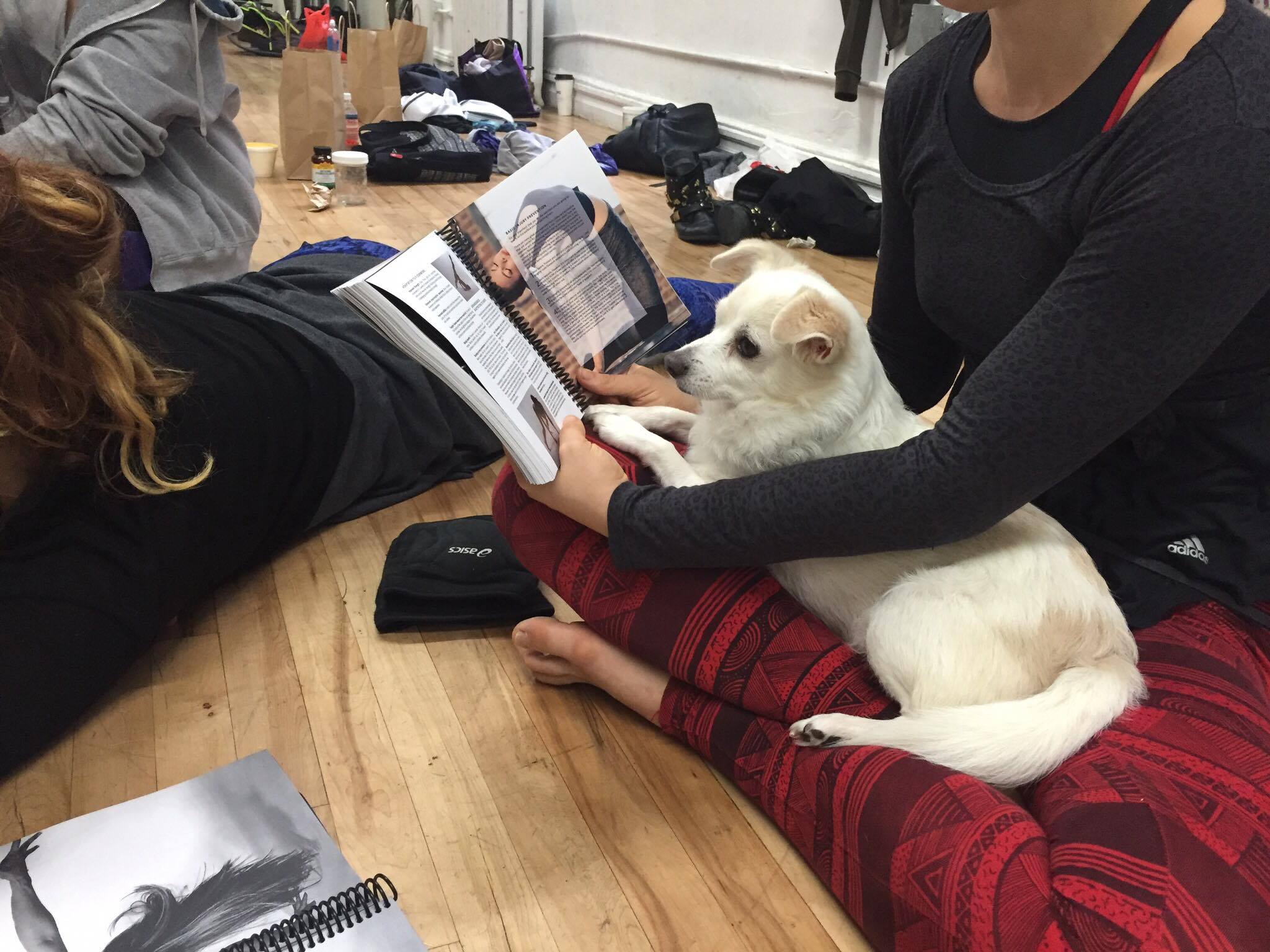 Emily's assistant, Sparky, focusing on the Floor Flow® Teacher Training manual!