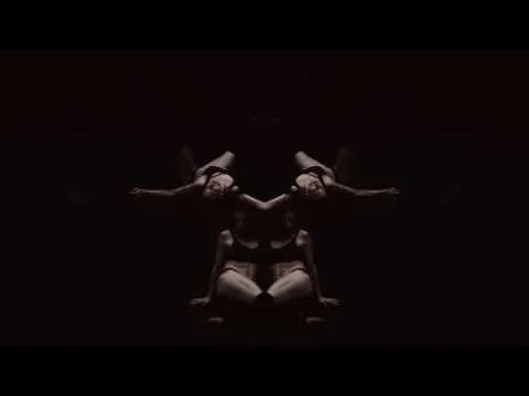 Mirror Flow