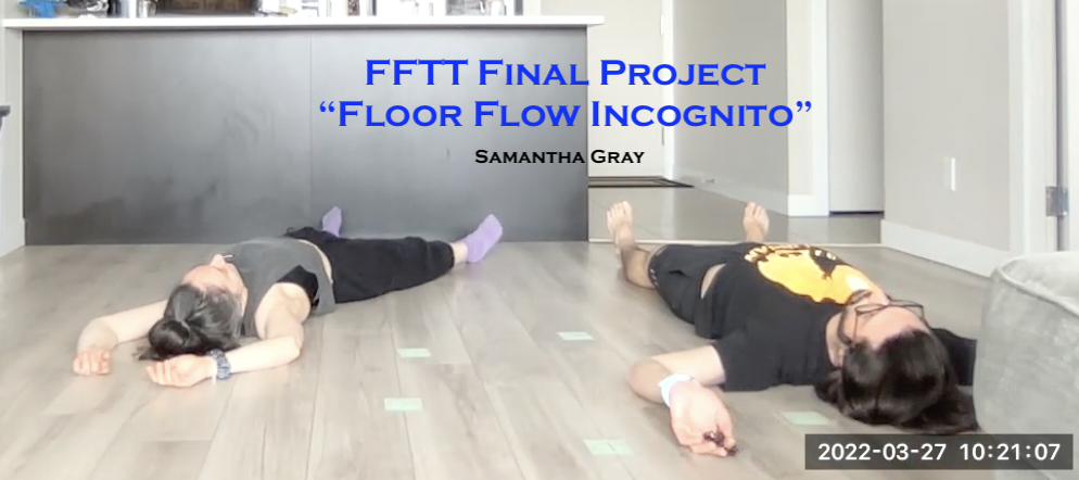 Samantha Gray - Final Project