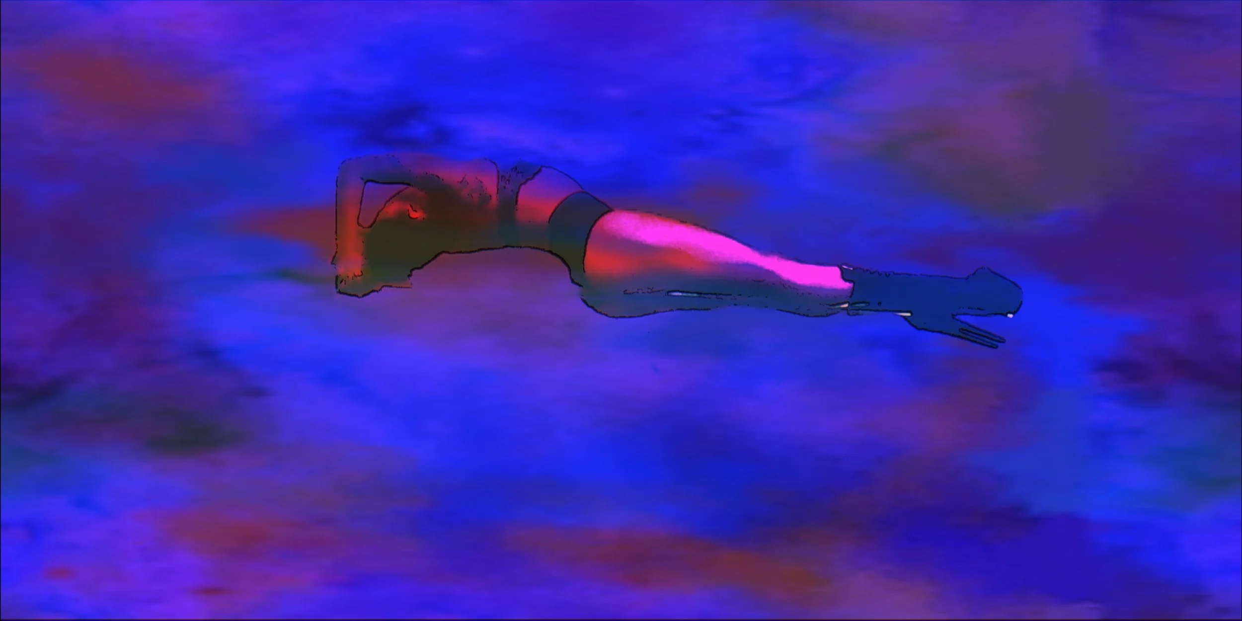 Nicole Poller - Loop