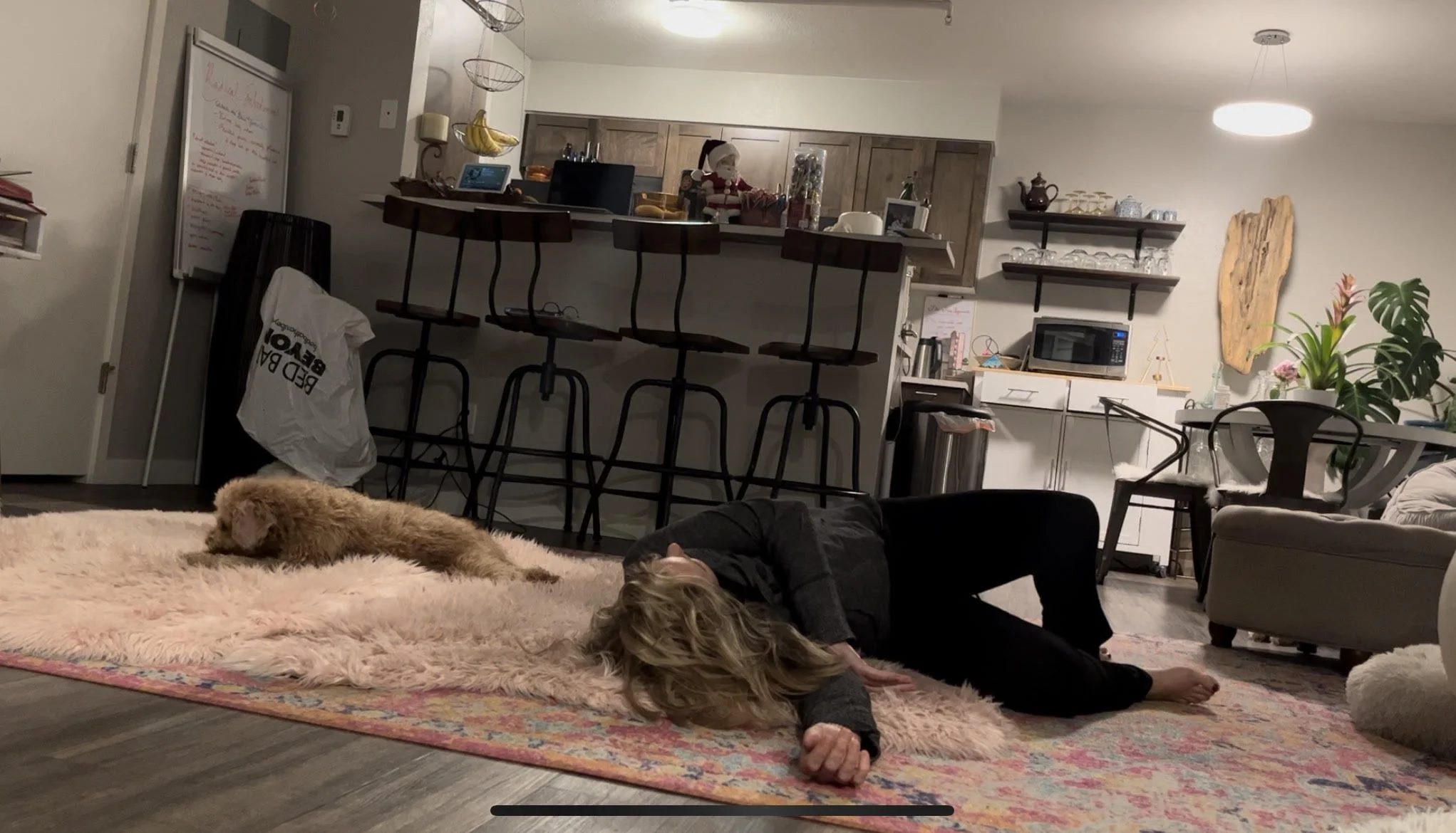 Emily Wishall - Loop