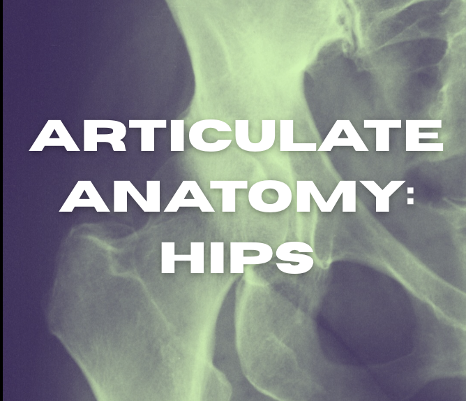 Articulate Anatomy: Hips