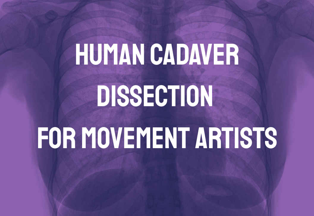 5 Day Human Cadaver Dissection For Movement Artists 2026 Lead by Jim Donak