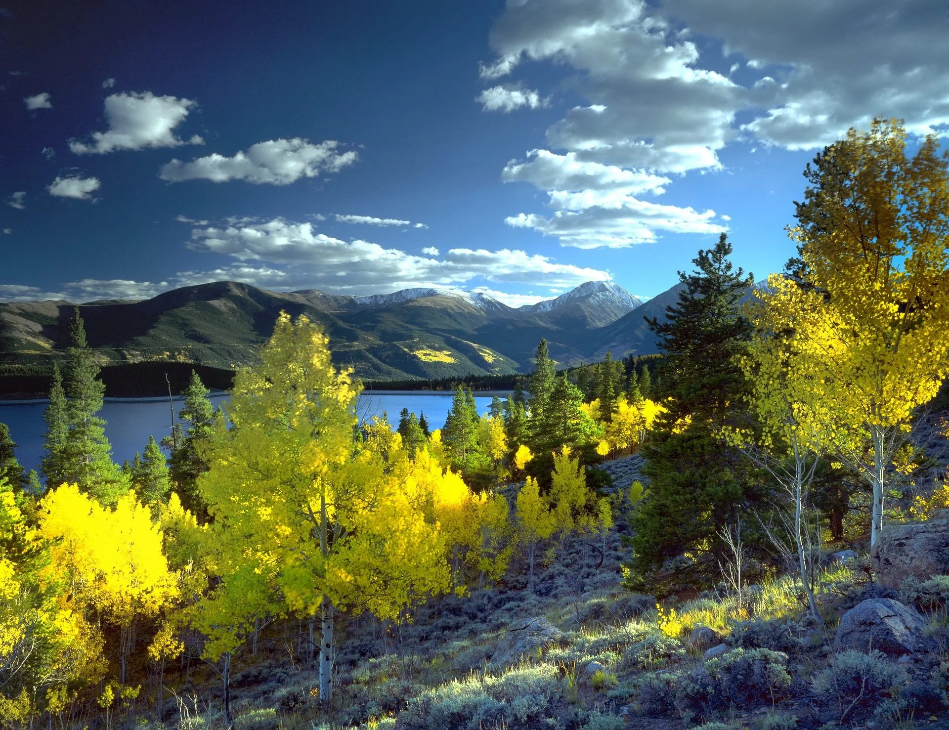 LLC cover photo.jpg