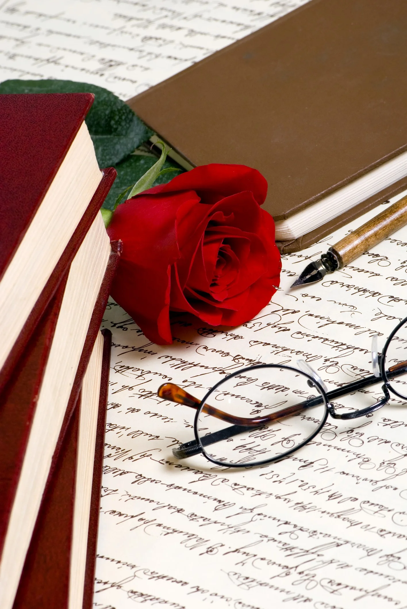 rose and books.jpg.jpg