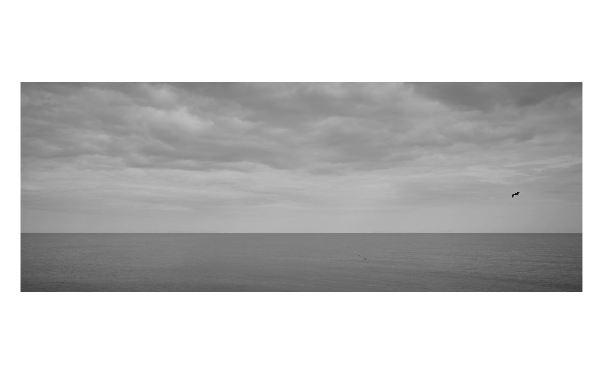 JACKLEESTUDIO_Images_FINAL14.jpg