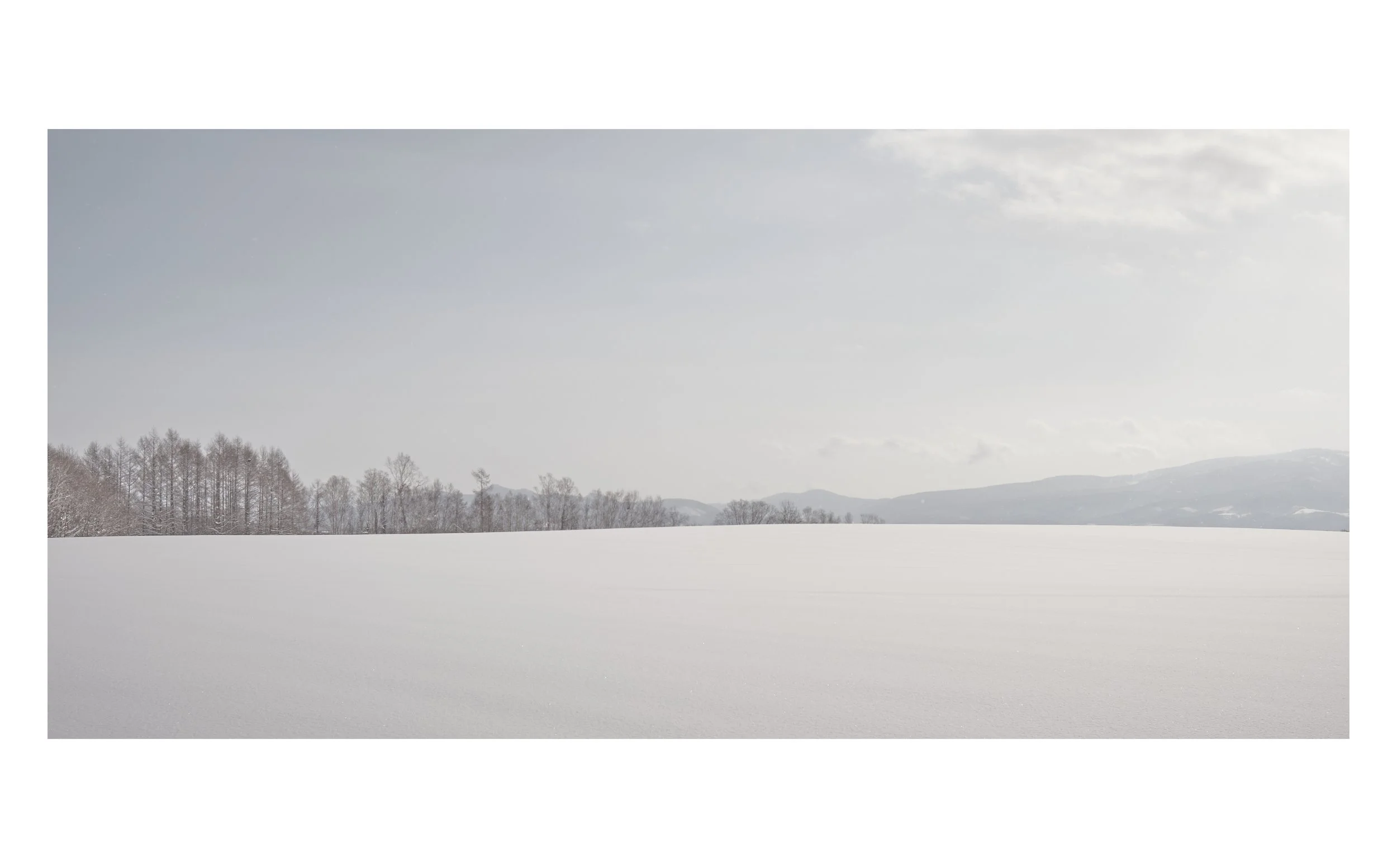 JACKLEESTUDIO_Images_FINAL12.jpg