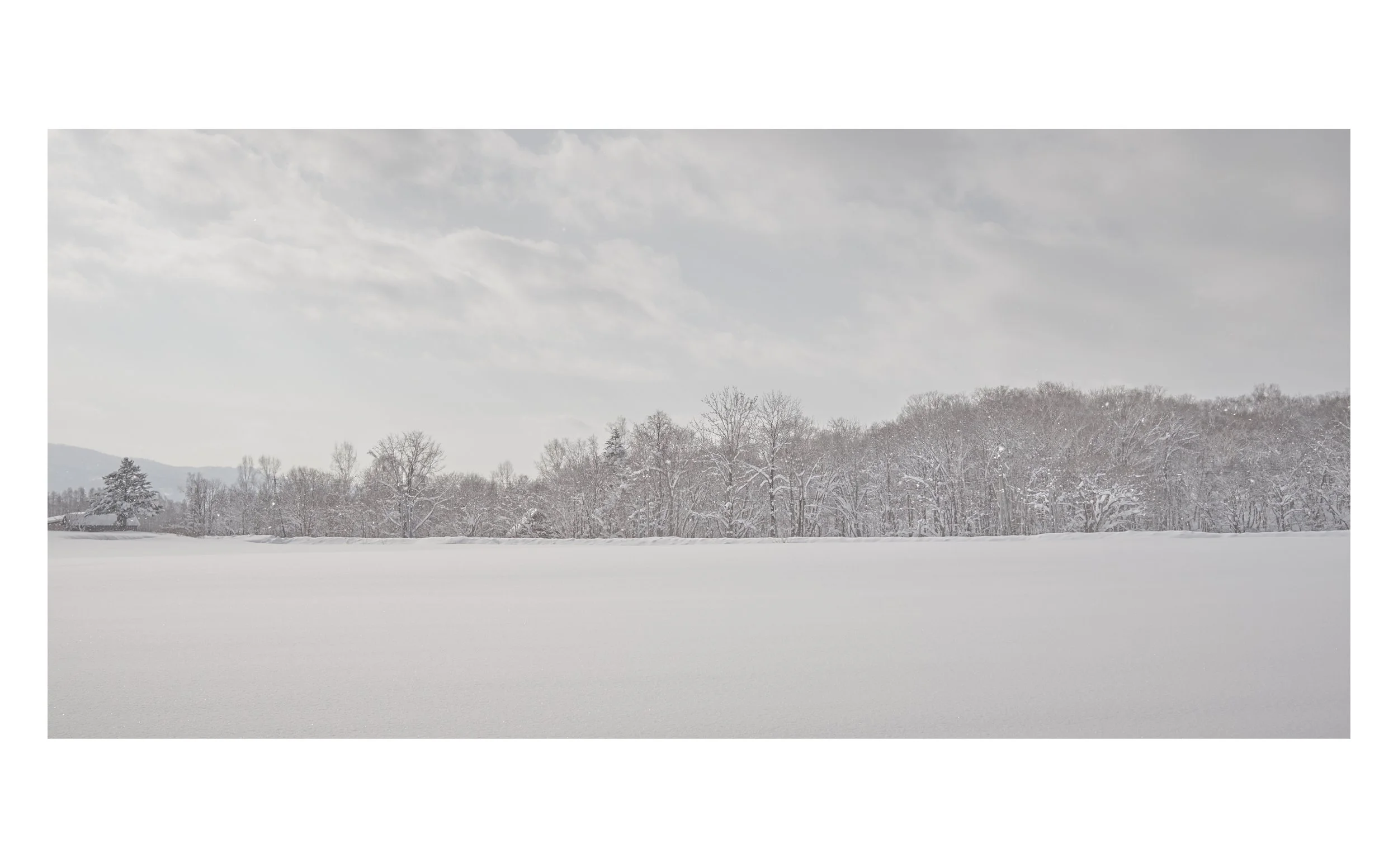 JACKLEESTUDIO_Images_FINAL13.jpg