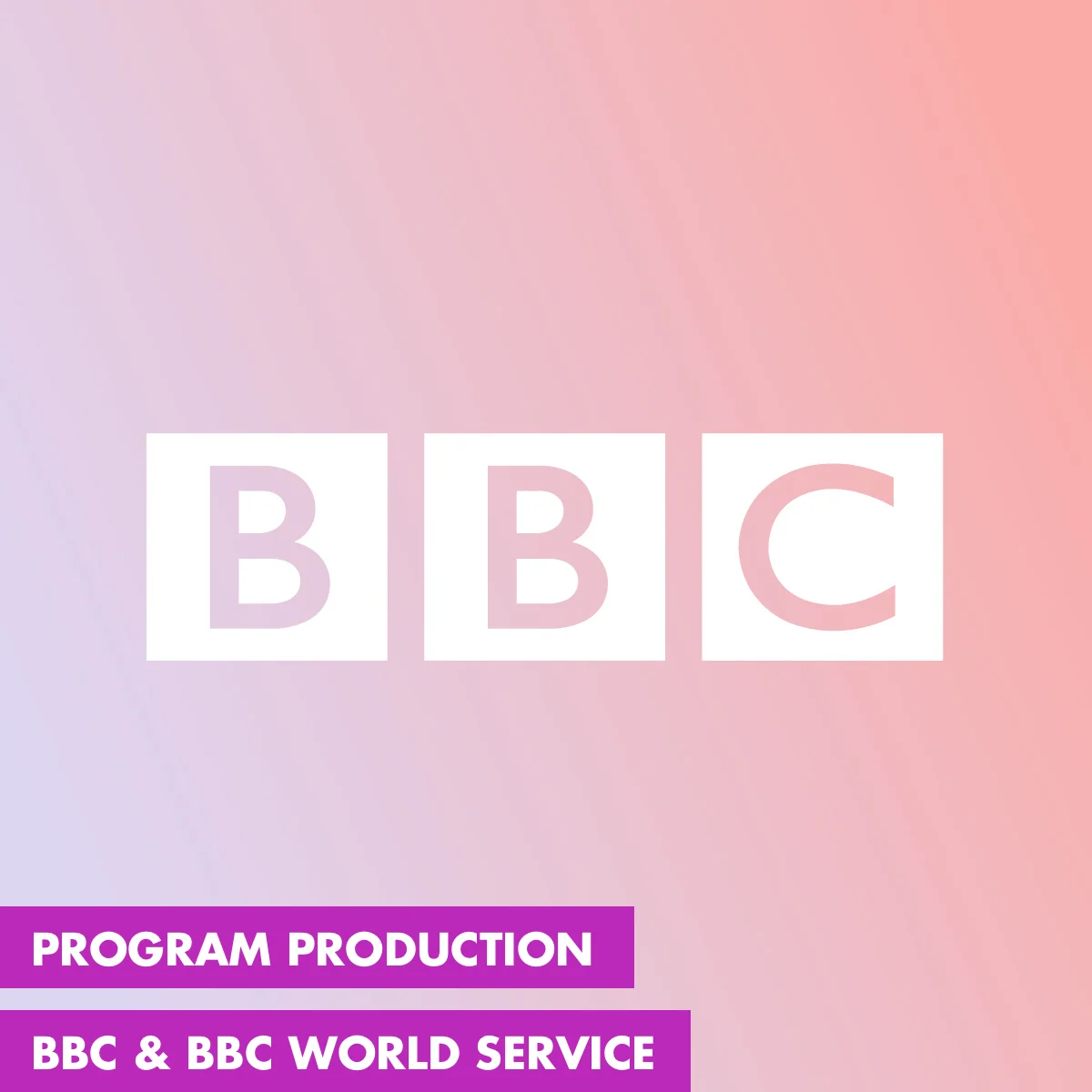 SOUND MADE PUBLIC WORK BBC 2.jpg