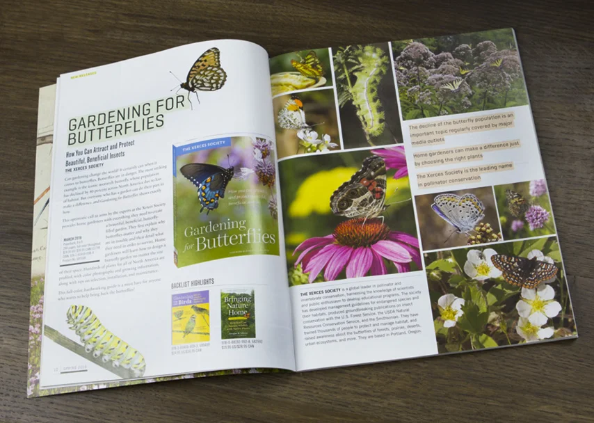 SP 16 Butterflies.jpg