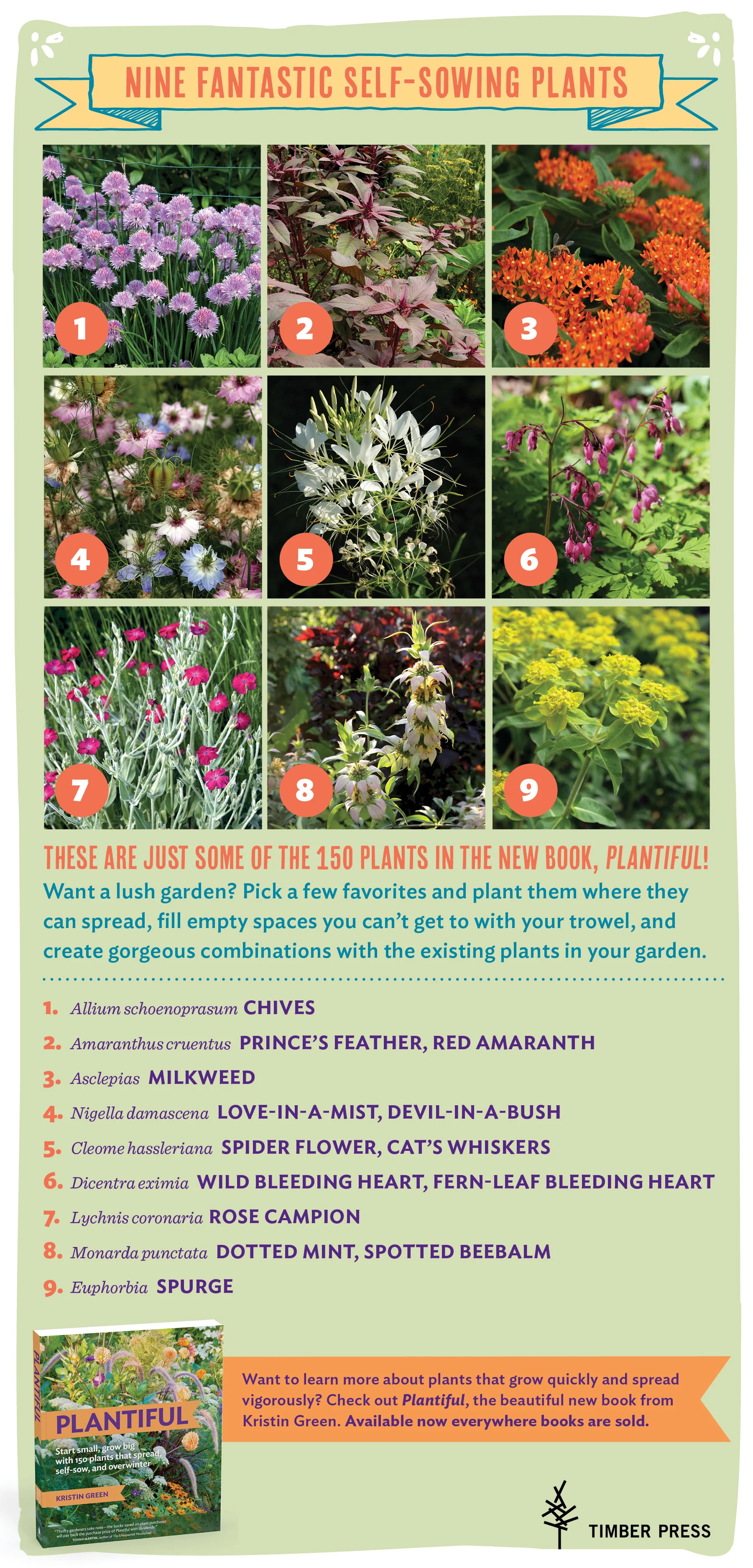 Plantiful_SelfSeeders.jpg