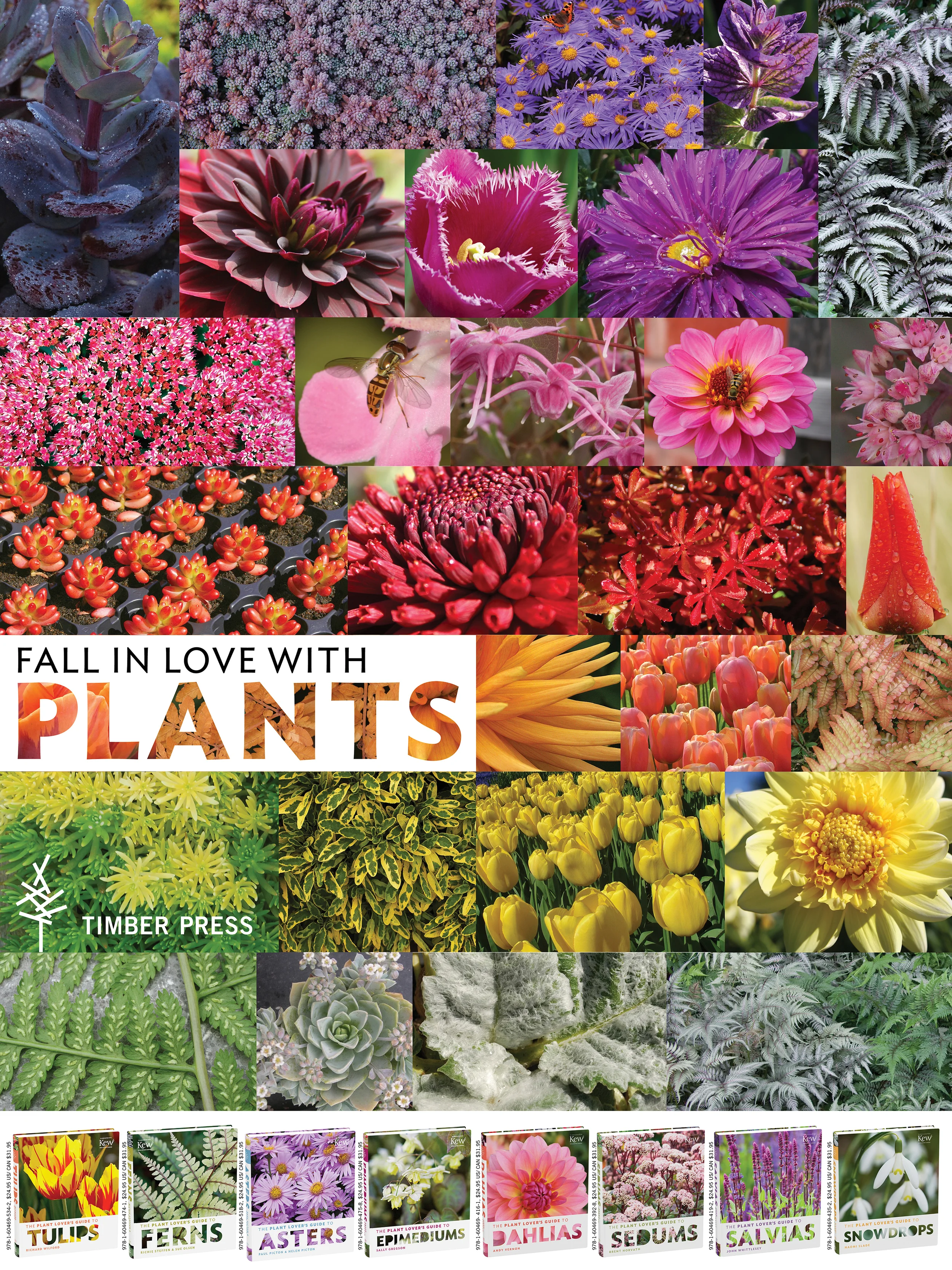 Plant Lovers Poster.jpg