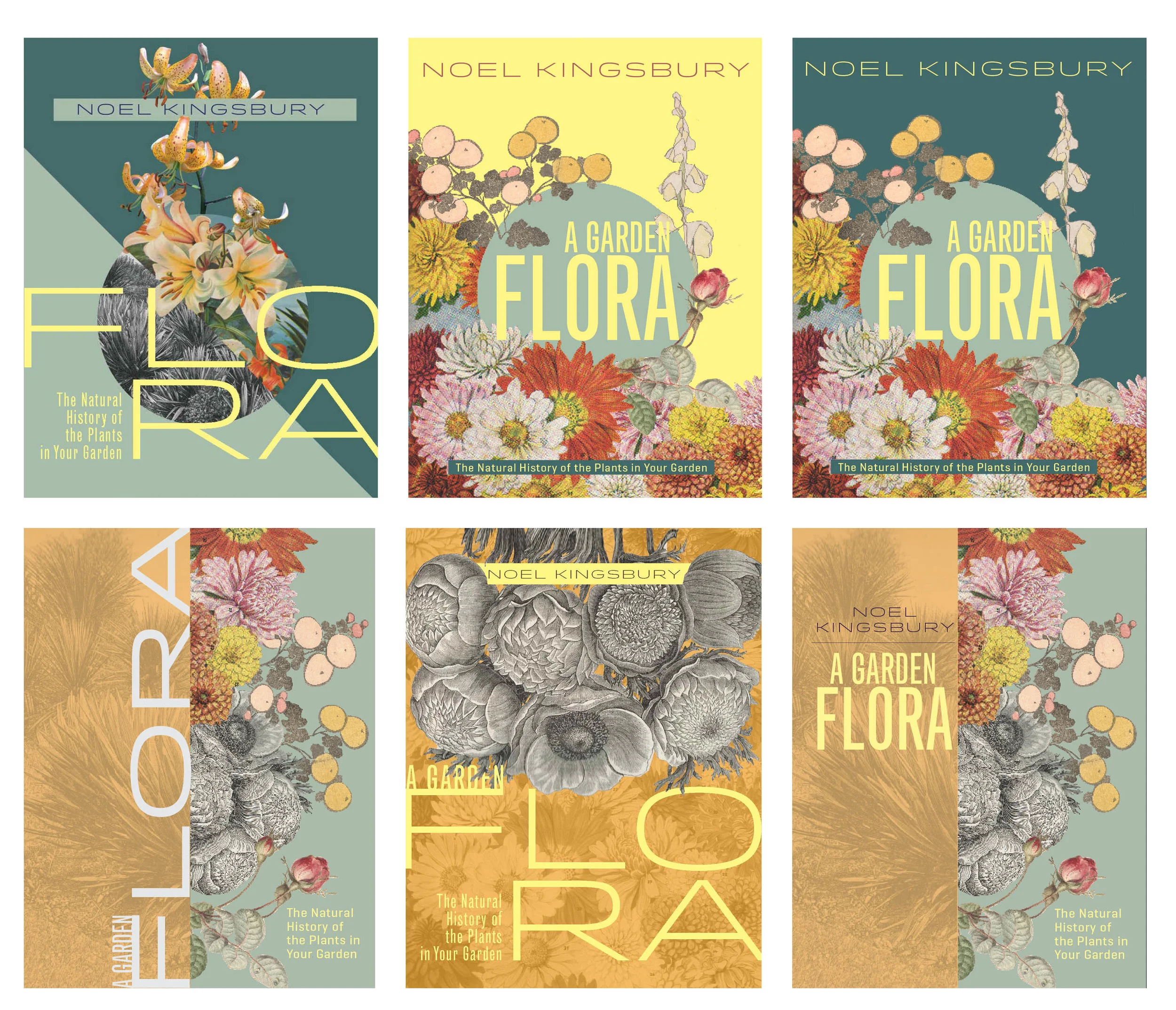 Concept thumbnails.jpg