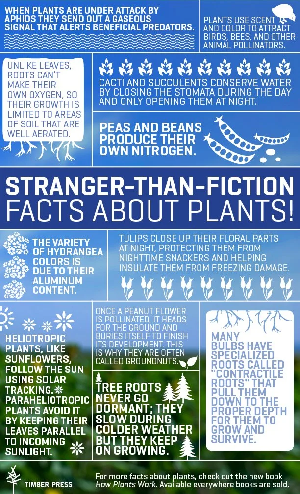 How Plants Work.jpg