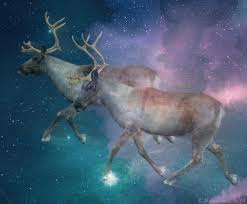 Flying reindeer.jpeg