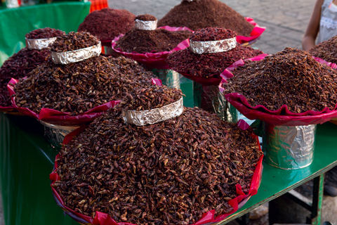 Chapulines, or crickets. Lovely to snack on whilst sipping tequila.