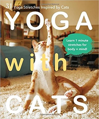 Yoga with Cats: 31 Yoga Stretches Inspired by Cats // Inspired by the movements of her own feline friend, author and yogi Masako Miyakawa has created Yoga with Cats, which features simple, cat-like yoga stretches and poses.
