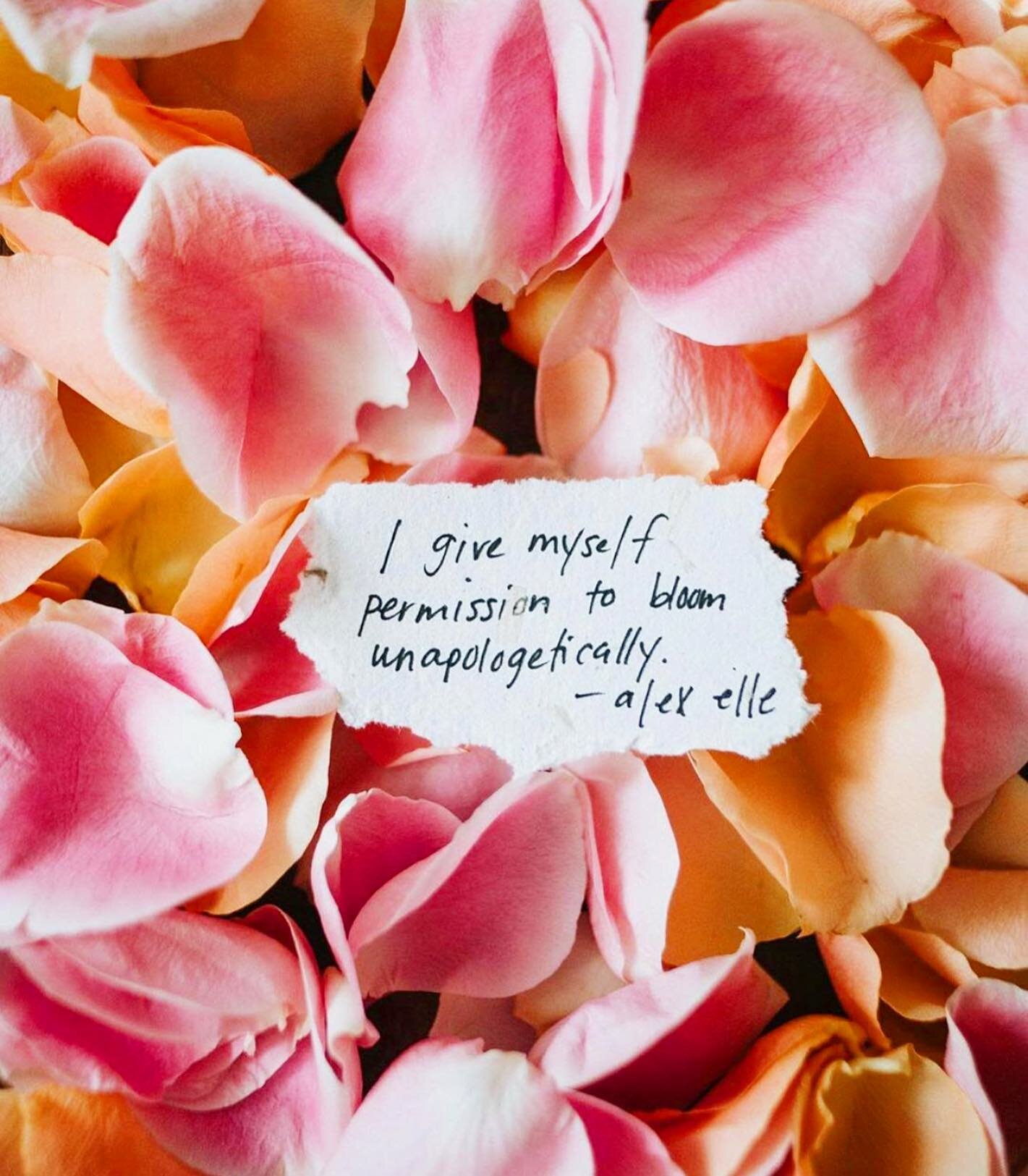 &ldquo;I give myself permission to bloom unapologetically.&rdquo; -Alex Elle✨ #bdgreminders #budhagirl 📷 @ananewyork 
&bull;
&bull;
&bull;
&bull;
&bull;
&bull;
&bull;
#bdg #bloom #bloomunapologetically #grow #mindfulness #mindfulliving #intentions #