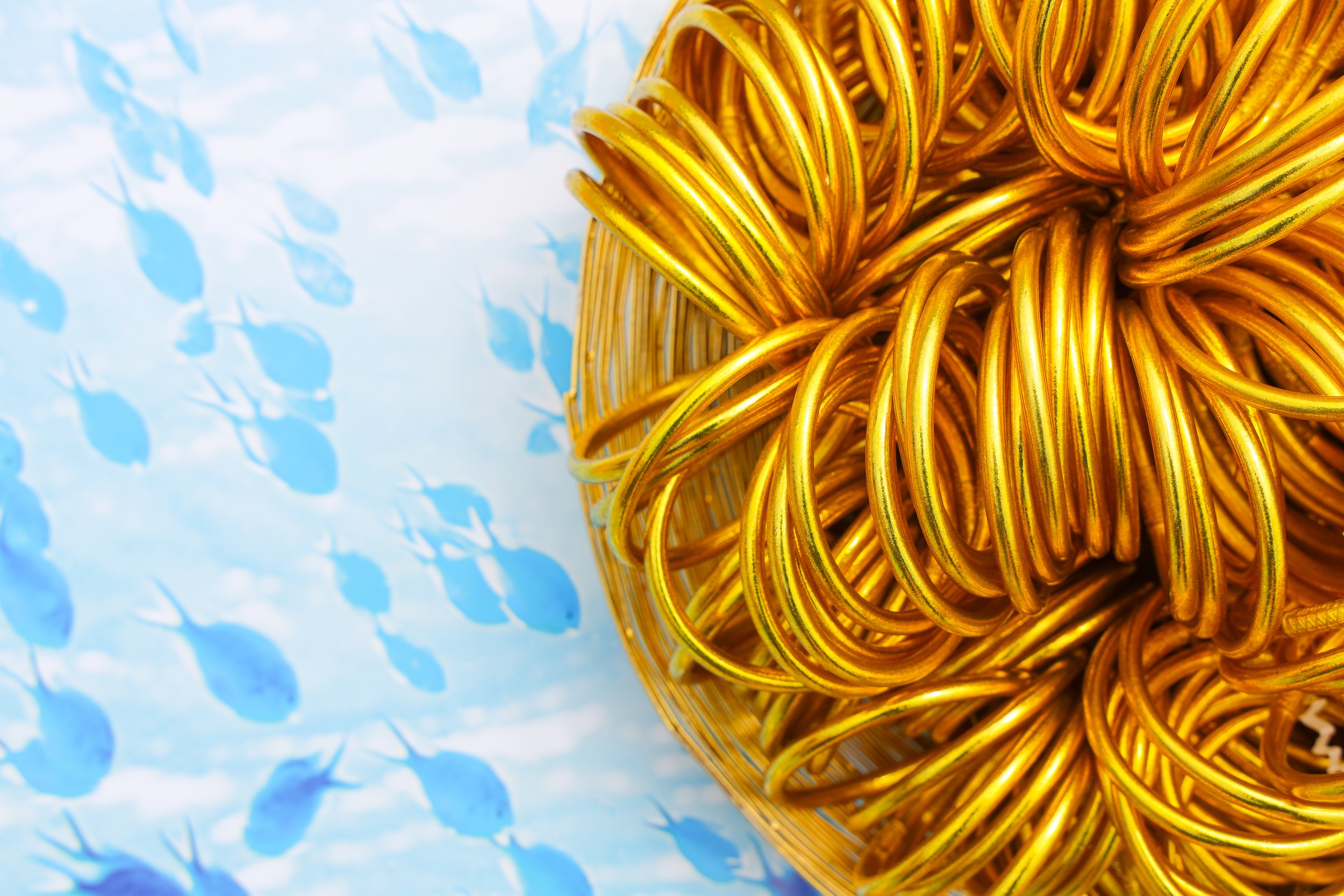 Gold AWB Bowl with Coral Turq Background-2.jpeg