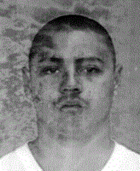 Photo of suspect #1002
