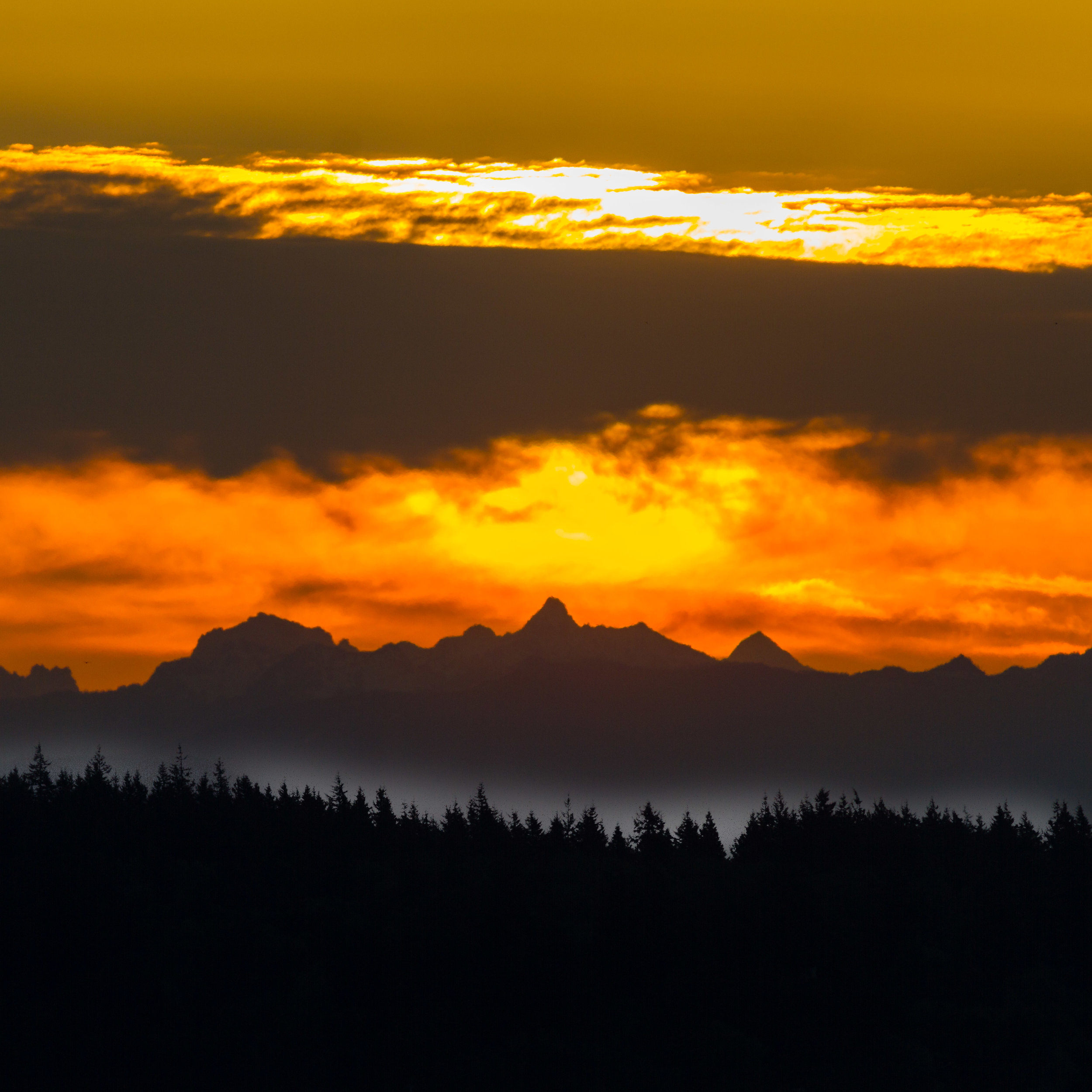  Great way to wake up on the final morning while taking the AMHS ferry from Haines to Bellingham. 