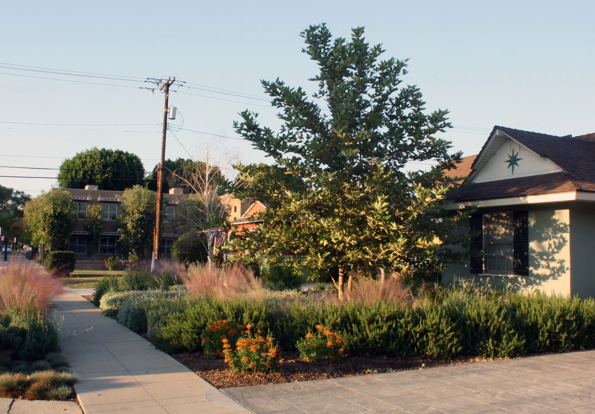 Orchard Drive Residence