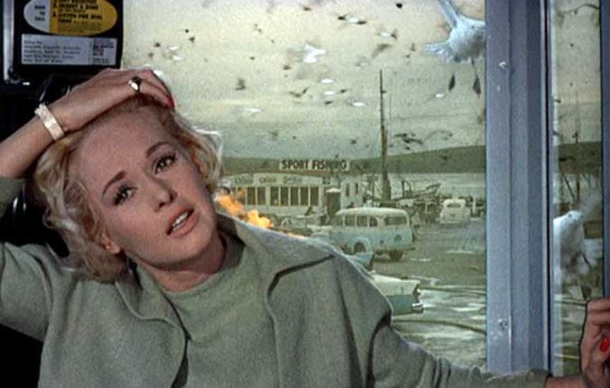 the-birds-hitchcock-phone-booth.jpg