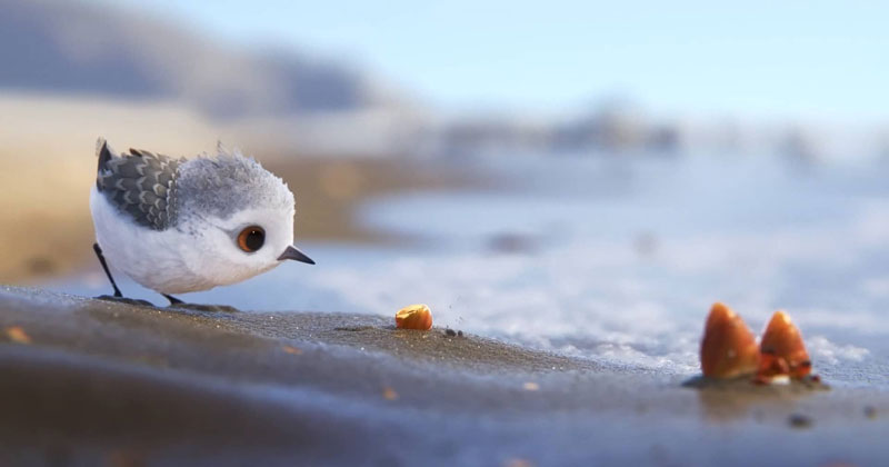 Pixar's 'Piper' is the frontrunner