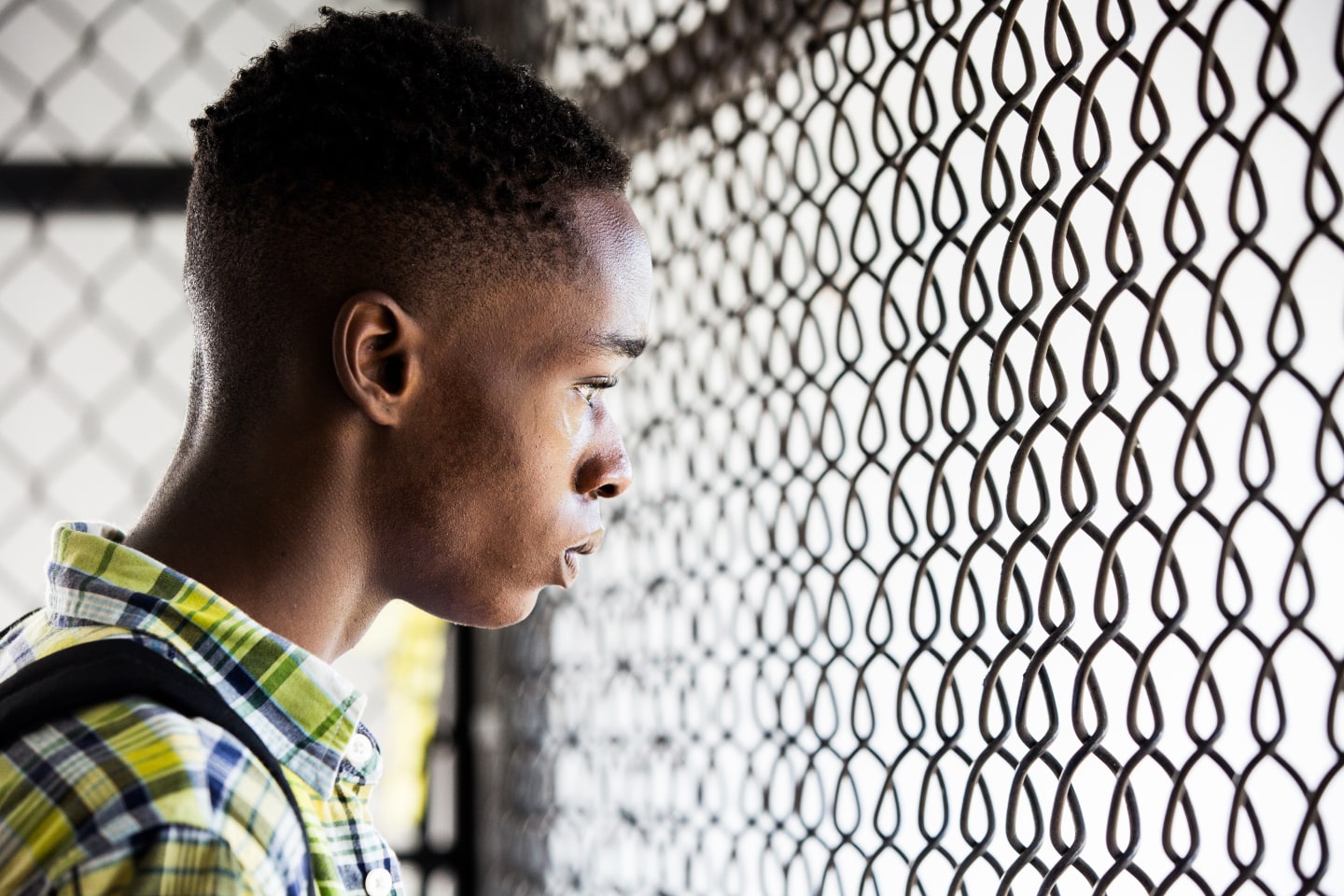 'Moonlight' has a lock on adapted screenplay