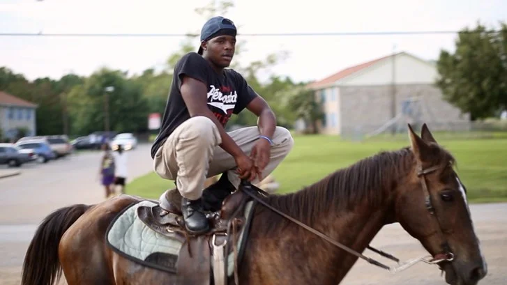 A new kind of look at the South