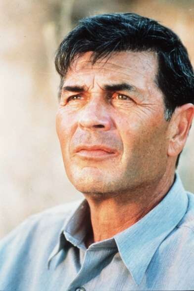 robert_forster_41239139.jpg