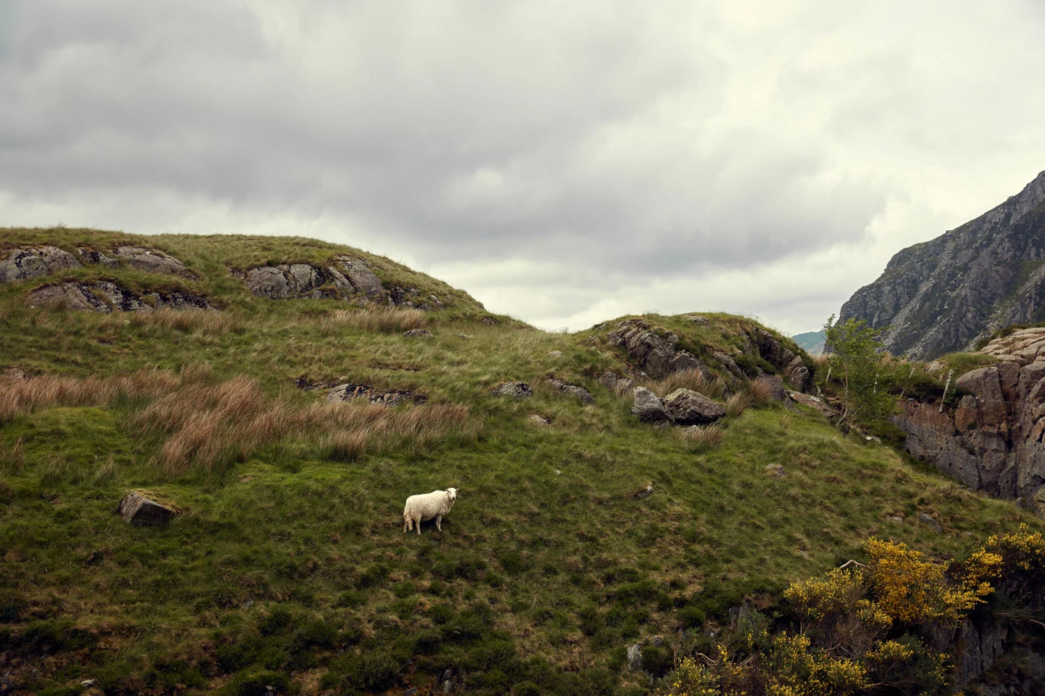  Portraits and Landscapes in Snowdonia Wales 