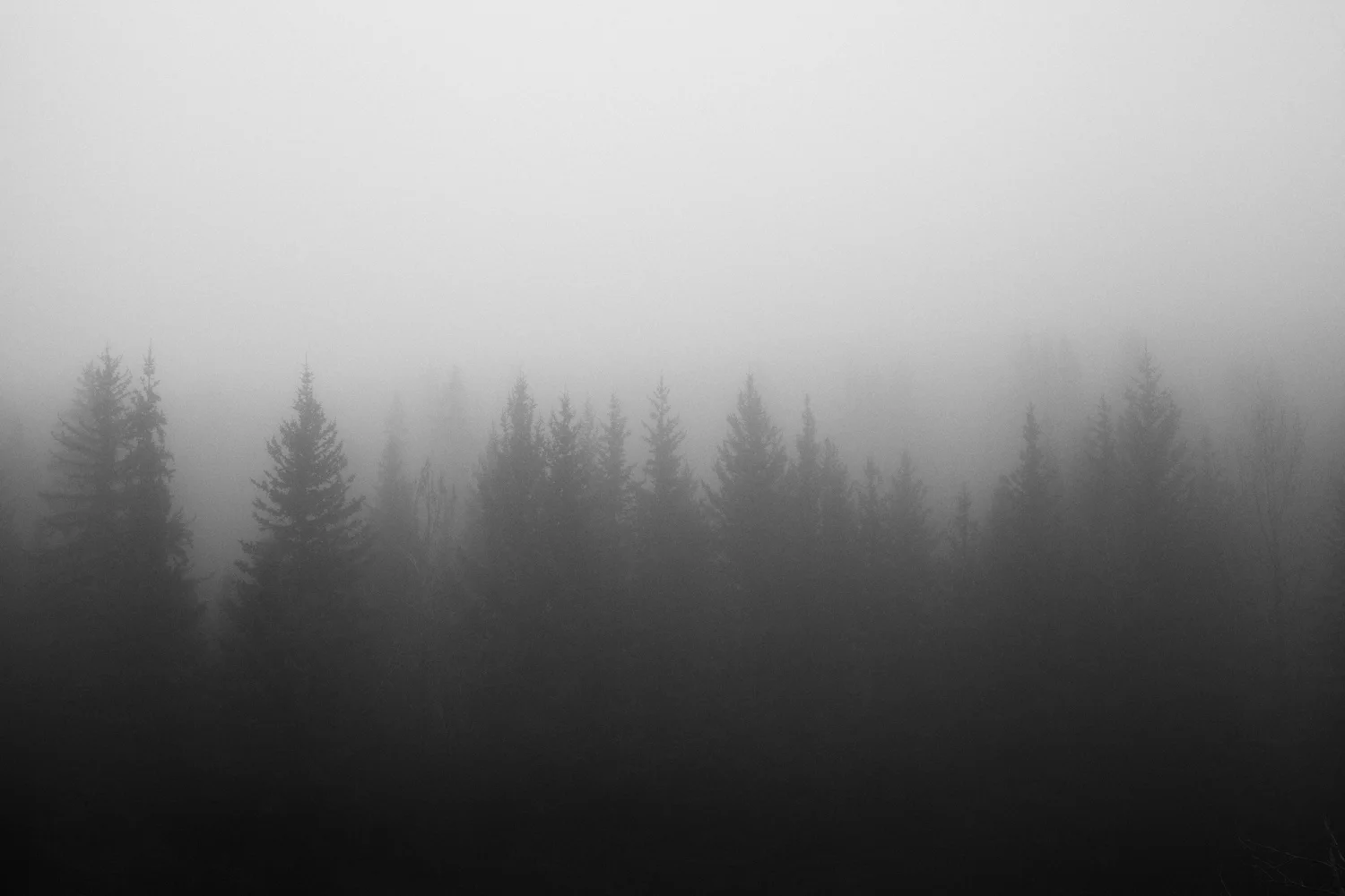  Kaycee, WY: Photography by Seth Lowe, 2015. Cowboy life in Wyoming. 