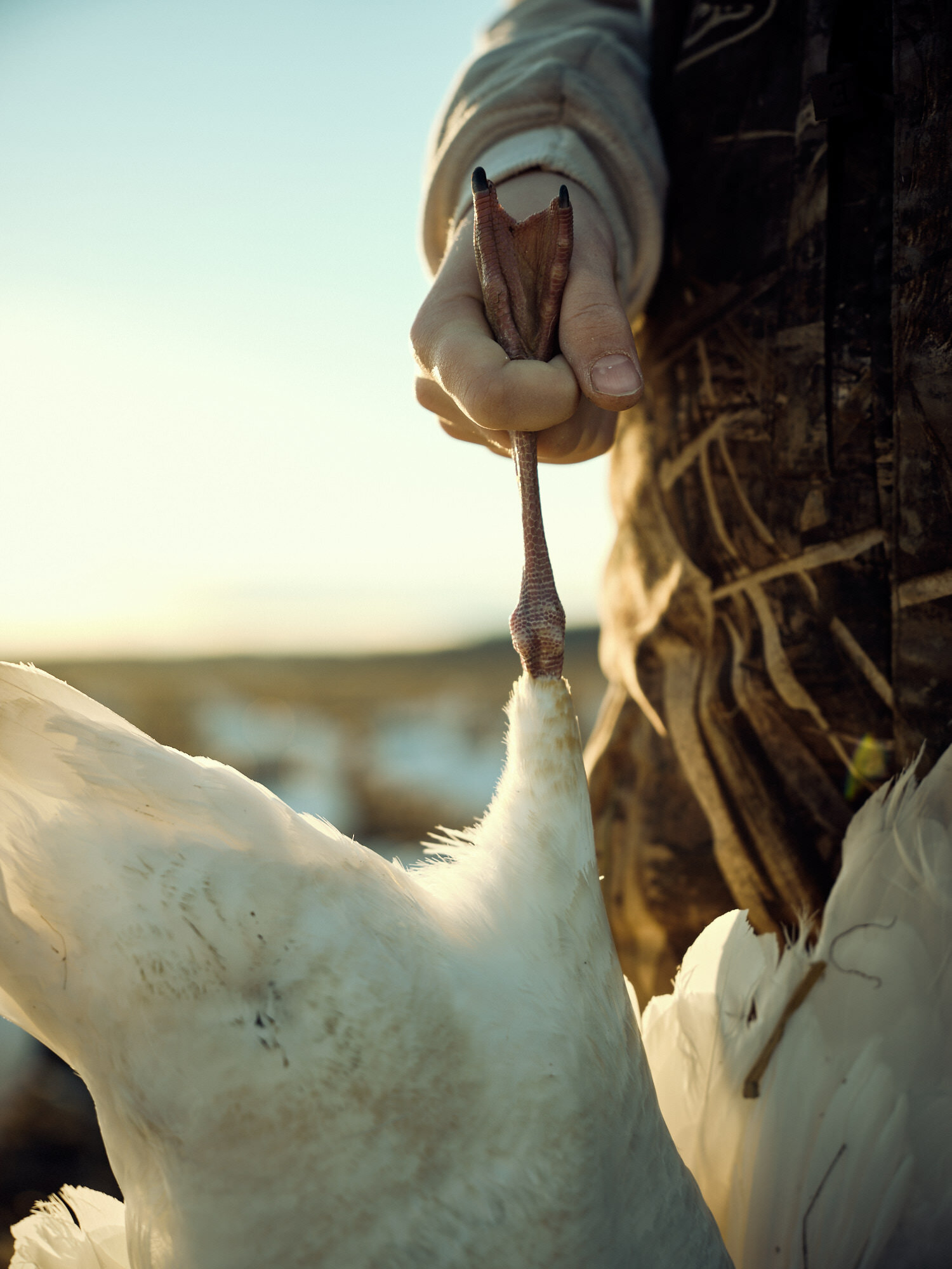 20190316_GooseHunting_DSCF0373.jpg