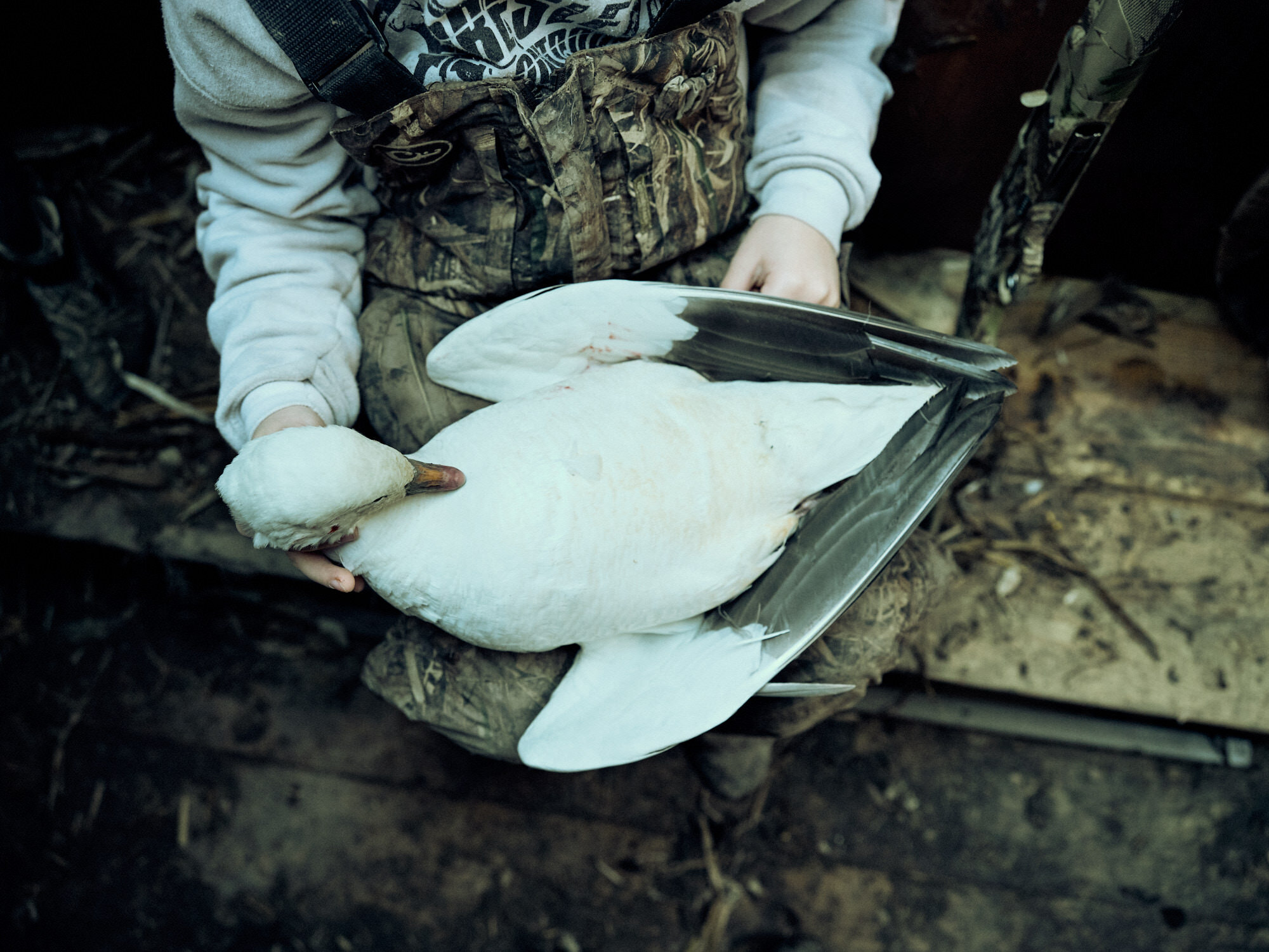 20190316_GooseHunting_DSCF0404.jpg